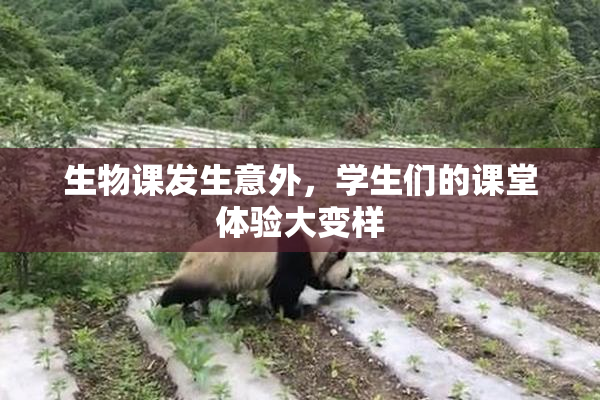 生物课发生意外，学生们的课堂体验大变样