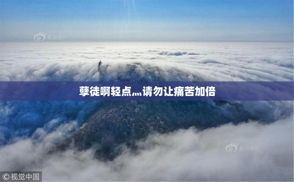 孽徒啊轻点灬请勿让痛苦加倍