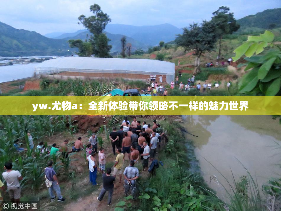 yw.尤物a：全新体验带你领略不一样的魅力世界