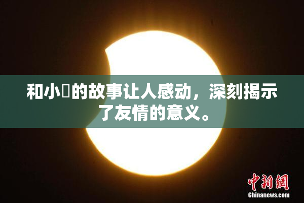和小娻的故事让人感动，深刻揭示了友情的意义。