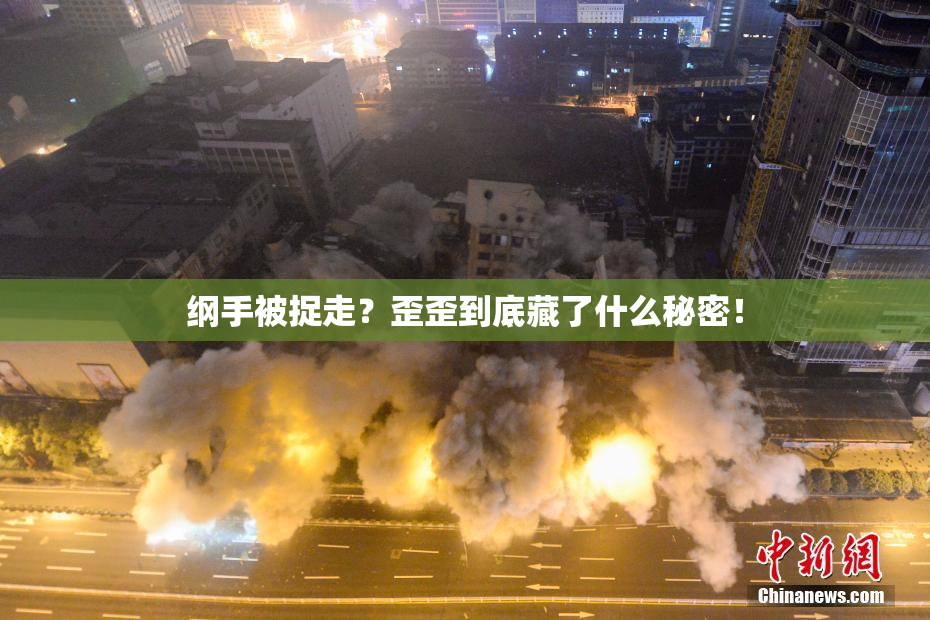 纲手被捉走？歪歪到底藏了什么秘密！