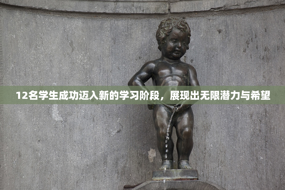 12名学生成功迈入新的学习阶段，展现出无限潜力与希望
