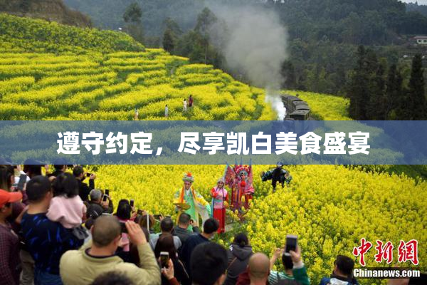 遵守约定，尽享凯白美食盛宴