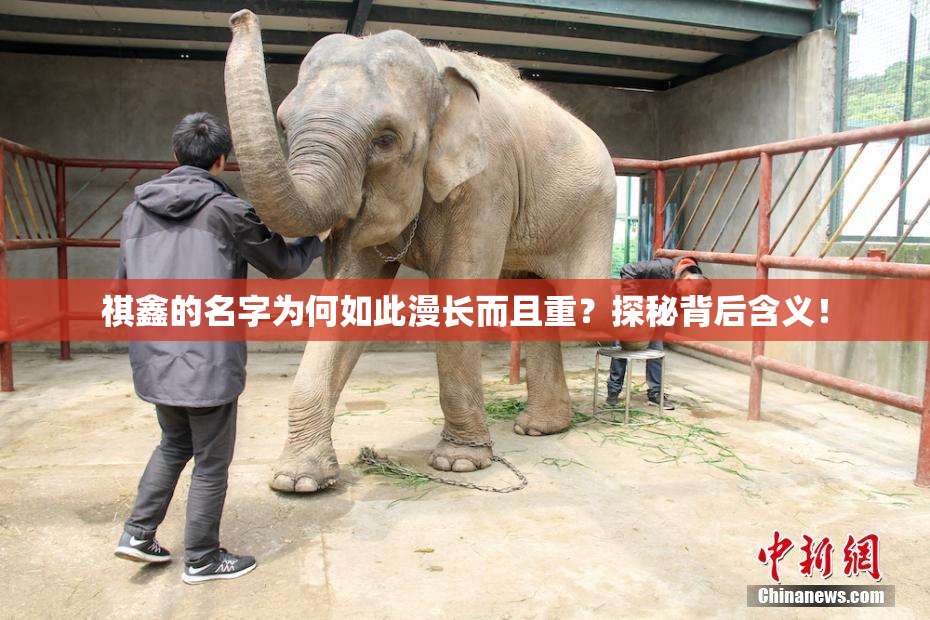 祺鑫的名字为何如此漫长而且重？探秘背后含义！