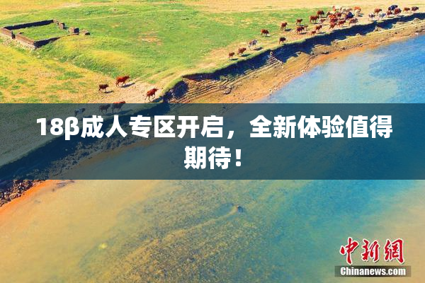 18β成人专区开启，全新体验值得期待！