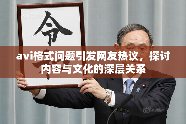 avi格式问题引发网友热议，探讨内容与文化的深层关系