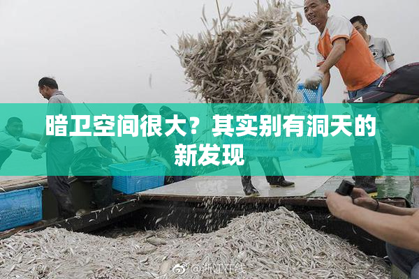 暗卫空间很大？其实别有洞天的新发现