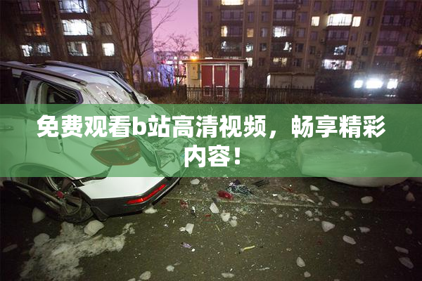 免费观看b站高清视频，畅享精彩内容！