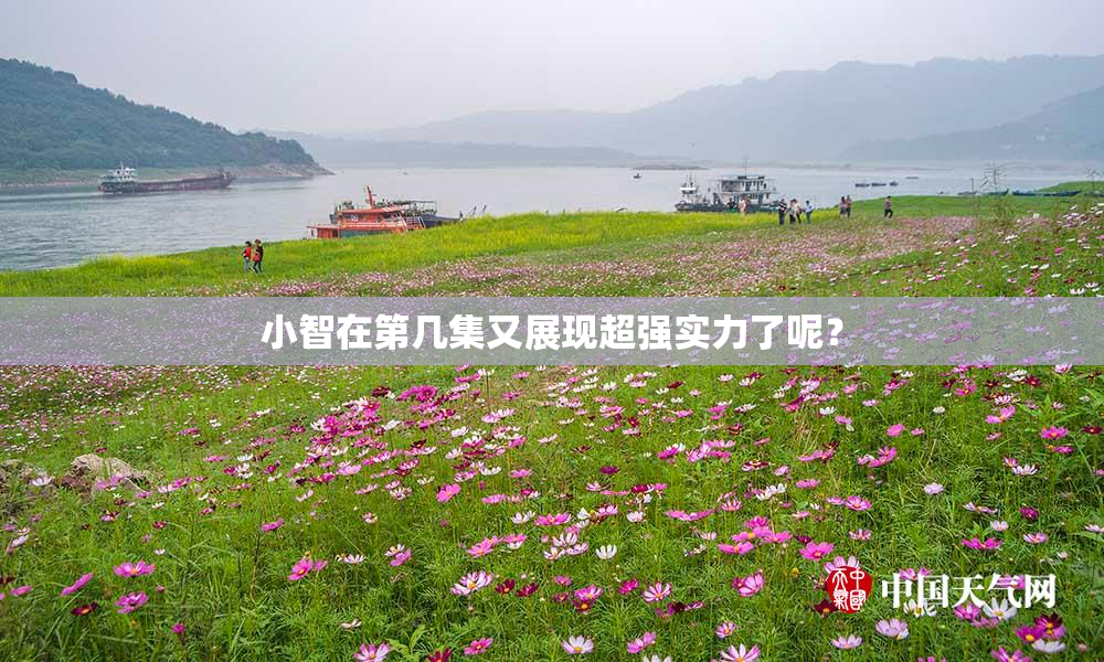 小智在第几集又展现超强实力了呢？