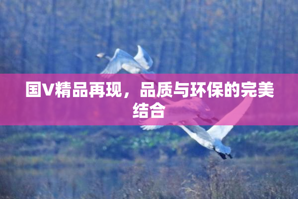 国V精品再现，品质与环保的完美结合