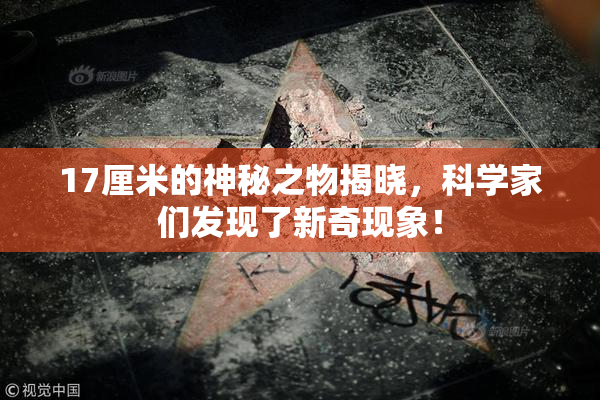 17厘米的神秘之物揭晓，科学家们发现了新奇现象！