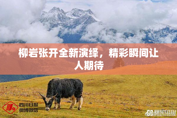 柳岩张开全新演绎，精彩瞬间让人期待