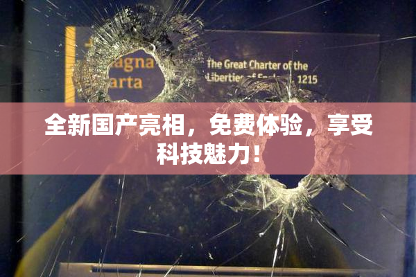 全新国产亮相，免费体验，享受科技魅力！