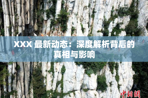XXX 最新动态：深度解析背后的真相与影响