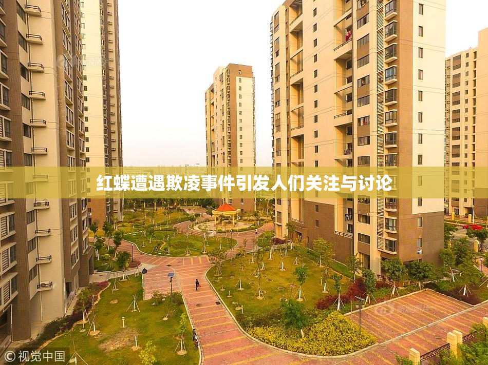 红蝶遭遇欺凌事件引发人们关注与讨论