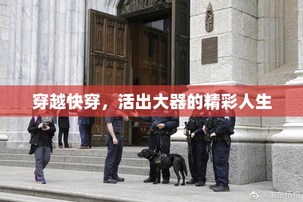 穿越快穿，活出大器的精彩人生