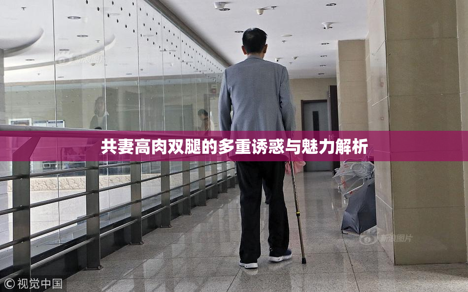 共妻高肉双腿的多重诱惑与魅力解析