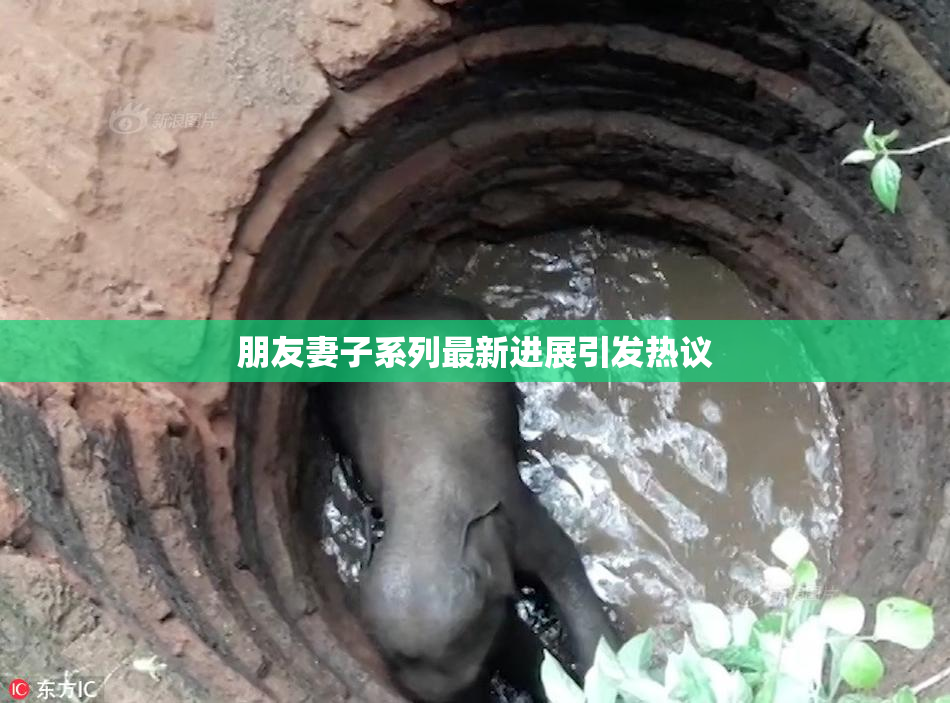 朋友妻子系列最新进展引发热议