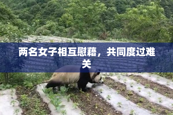 两名女子相互慰藉，共同度过难关