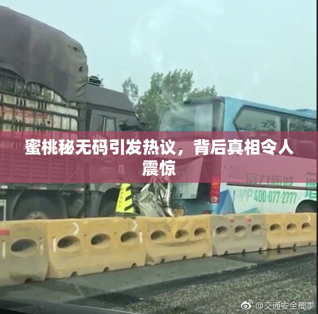 蜜桃秘无码引发热议，背后真相令人震惊
