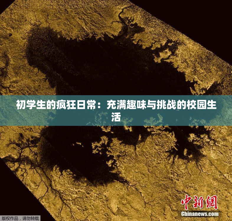 初学生的疯狂日常：充满趣味与挑战的校园生活