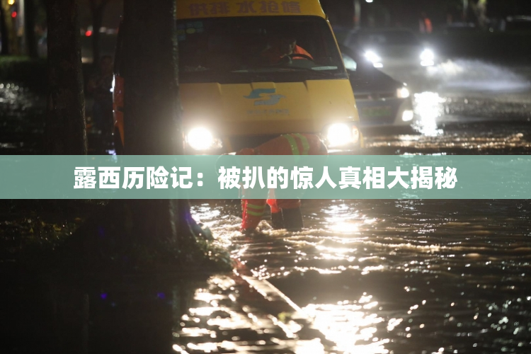 露西历险记：被扒的惊人真相大揭秘