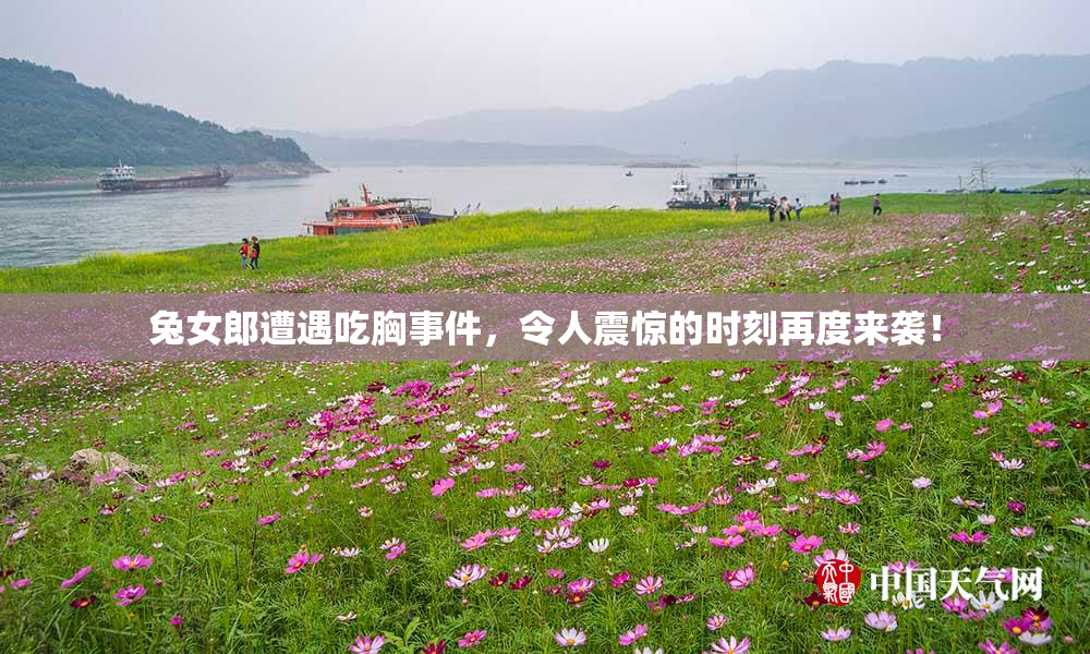 兔女郎遭遇吃胸事件，令人震惊的时刻再度来袭！