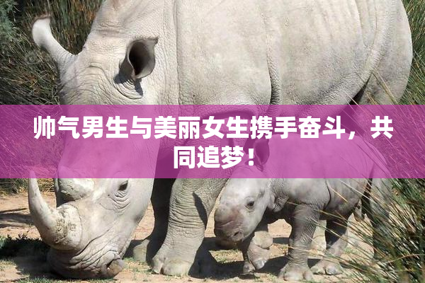 帅气男生与美丽女生携手奋斗，共同追梦！