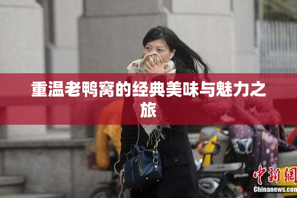 重温老鸭窝的经典美味与魅力之旅