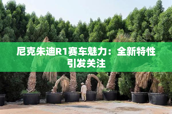 尼克朱迪R1赛车魅力：全新特性引发关注
