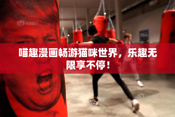 喵趣漫画畅游猫咪世界，乐趣无限享不停！