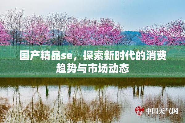 国产精品se，探索新时代的消费趋势与市场动态