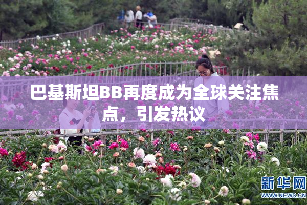 巴基斯坦BB再度成为全球关注焦点，引发热议
