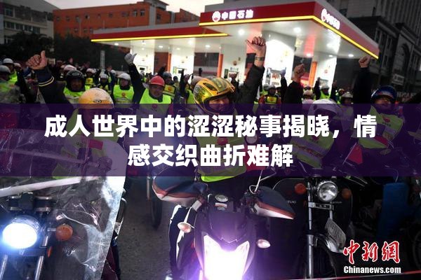 成人世界中的涩涩秘事揭晓，情感交织曲折难解