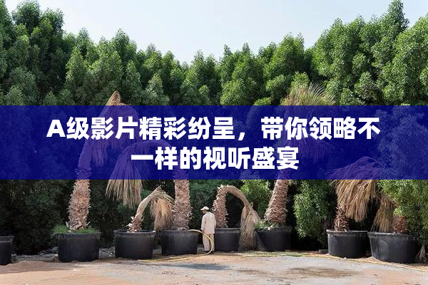A级影片精彩纷呈，带你领略不一样的视听盛宴