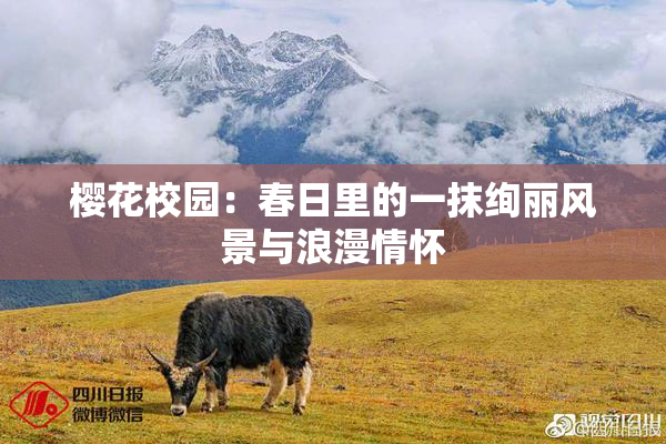 樱花校园：春日里的一抹绚丽风景与浪漫情怀