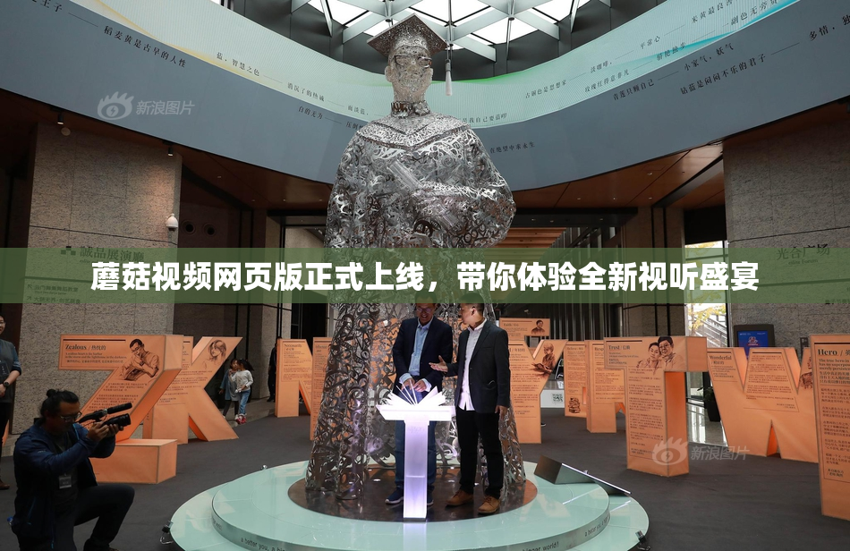 蘑菇视频网页版正式上线，带你体验全新视听盛宴