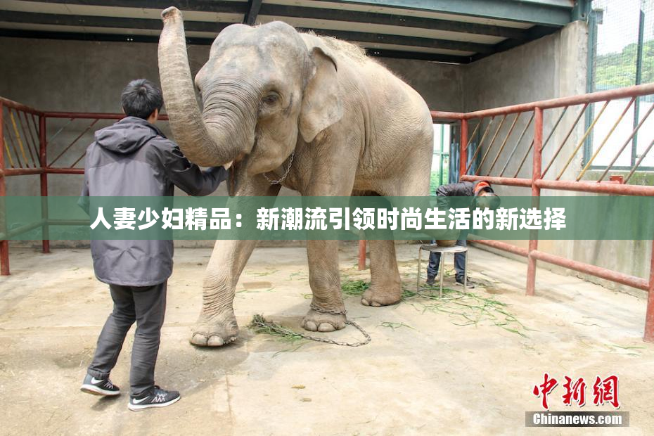 人妻少妇精品：新潮流引领时尚生活的新选择