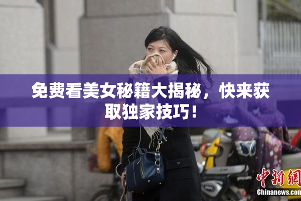 免费看美女秘籍大揭秘，快来获取独家技巧！