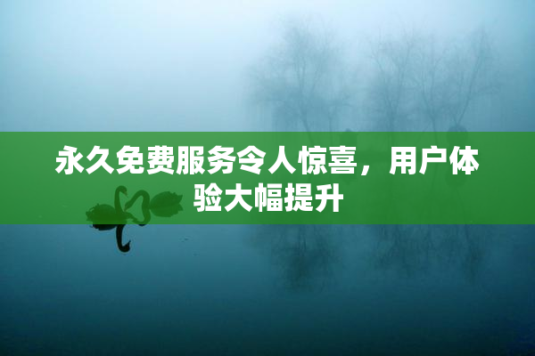 永久免费服务令人惊喜，用户体验大幅提升