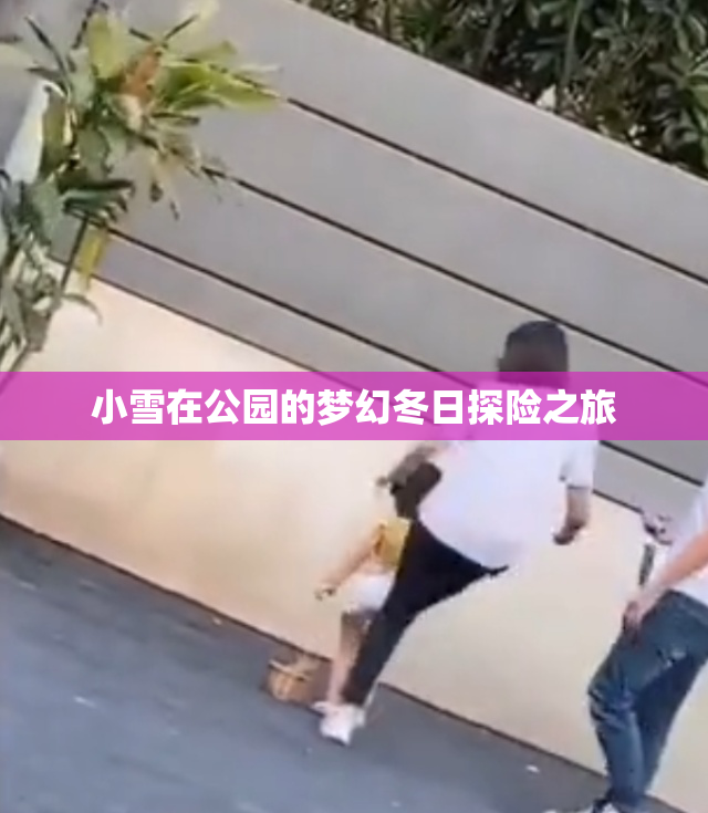 小雪在公园的梦幻冬日探险之旅