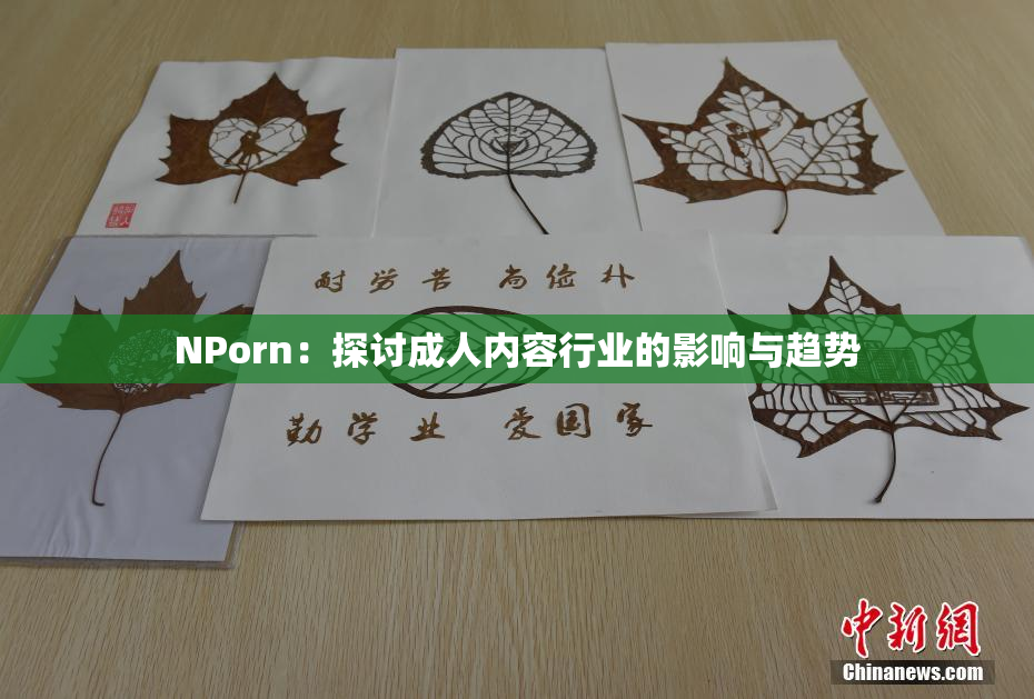 ΝPorn：探讨成人内容行业的影响与趋势
