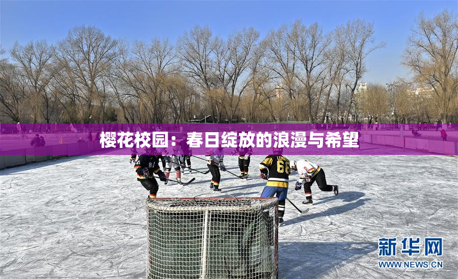 樱花校园：春日绽放的浪漫与希望