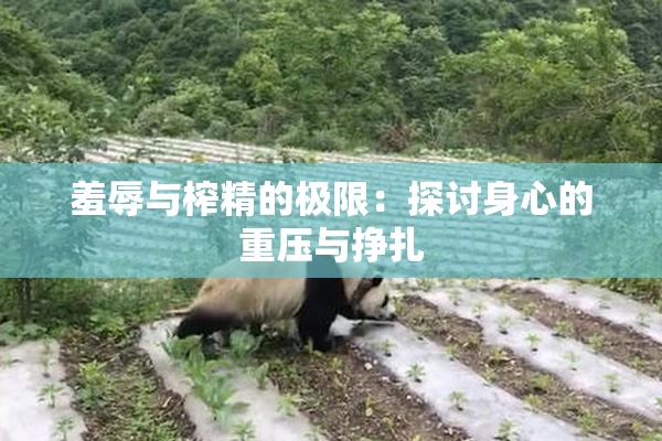 羞辱与榨精的极限：探讨身心的重压与挣扎