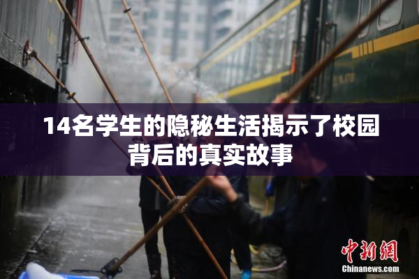 14名学生的隐秘生活揭示了校园背后的真实故事