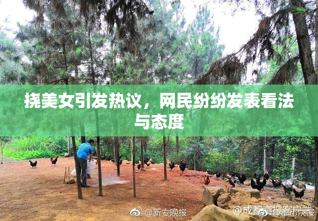 挠美女引发热议，网民纷纷发表看法与态度