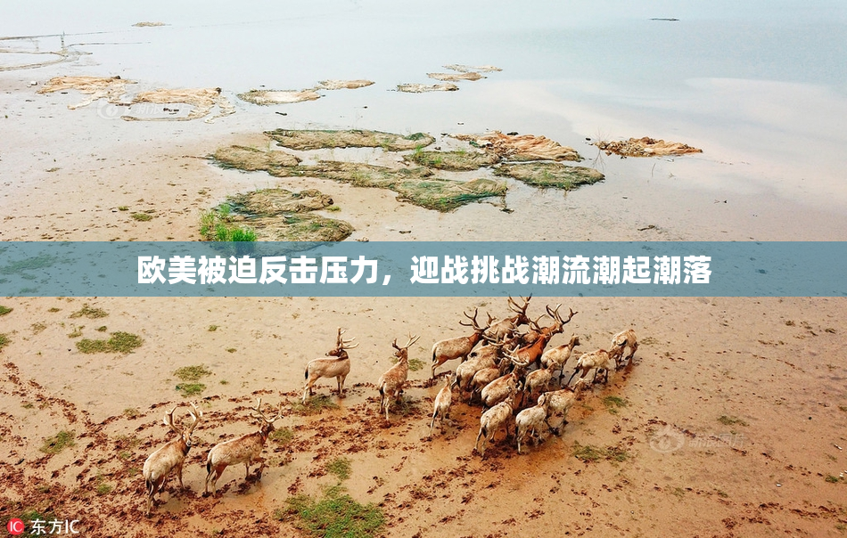 欧美被迫反击压力，迎战挑战潮流潮起潮落
