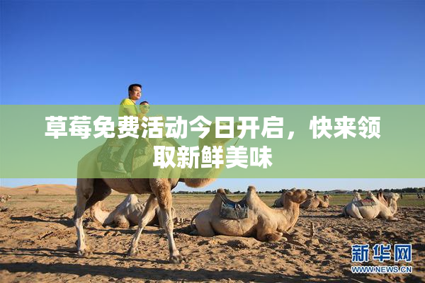 草莓免费活动今日开启，快来领取新鲜美味