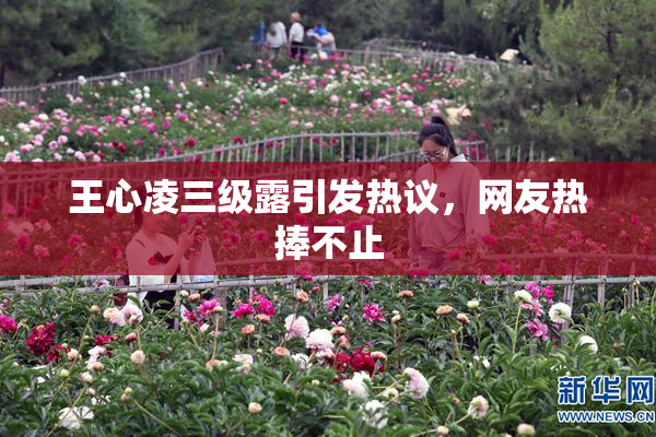 王心凌三级露引发热议，网友热捧不止