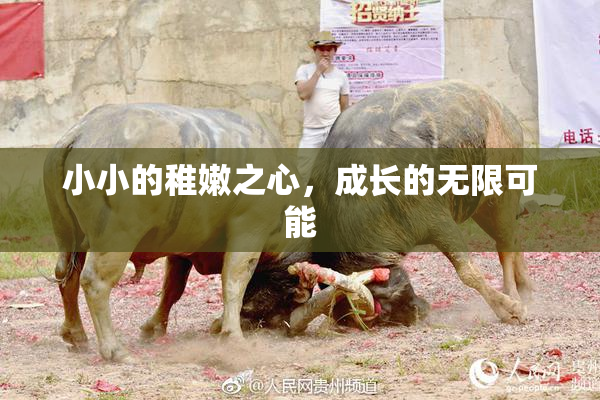 小小的稚嫩之心，成长的无限可能